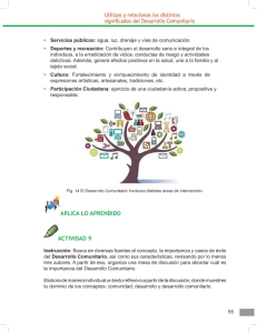 desarrollo comunitario pdf