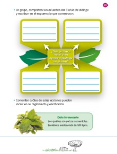 Las Plantas De Mi Comunidad - Ayuda Para Tu Tarea De Conocimiento Del ...