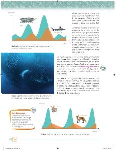 Las Interacciones Entre Los Organismos Ayuda Para Tu Tarea De Ciencias Y Tecnologia Biologia Sep Secundaria Primero Respuestas Y Explicaciones